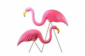 Pink garden flamingos