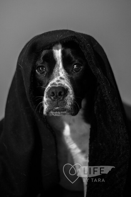 Nixie Lix - Bed HEad by Tara Sutherland